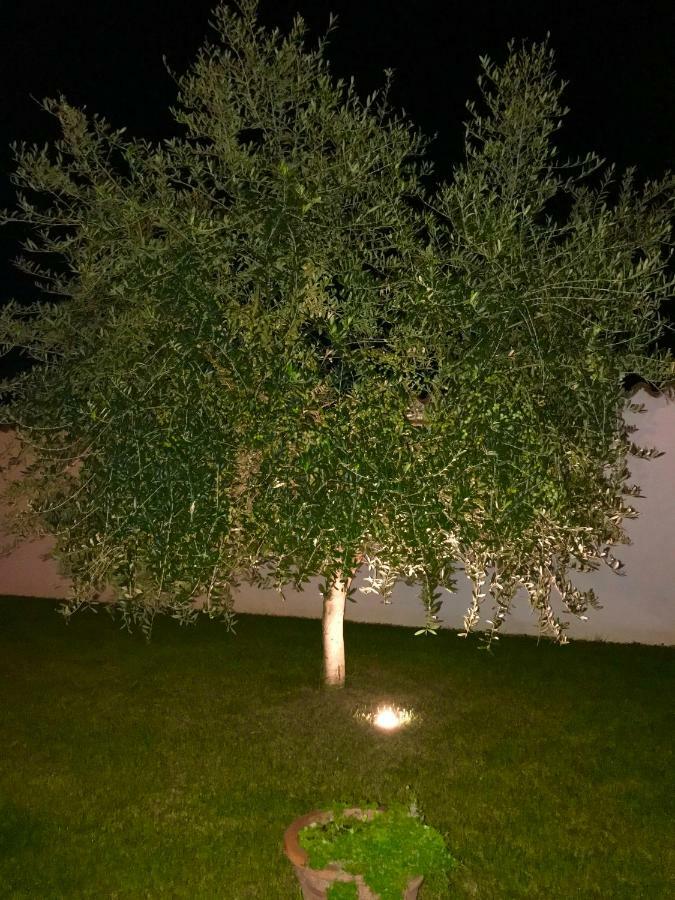 Puntizela-Patty Lägenhet Pula Exteriör bild